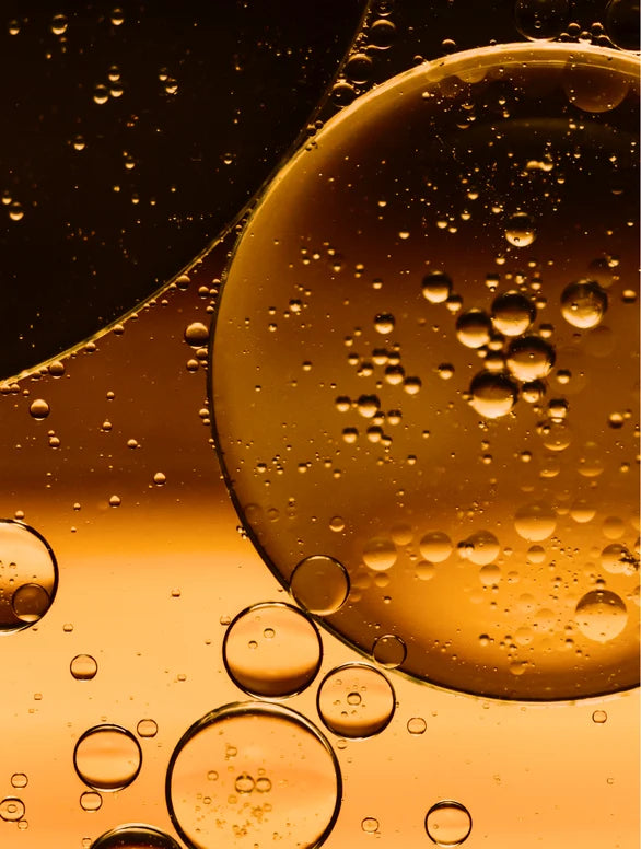 Omega 6-9 Luminous Skin Elixir - The Symmetry Lab