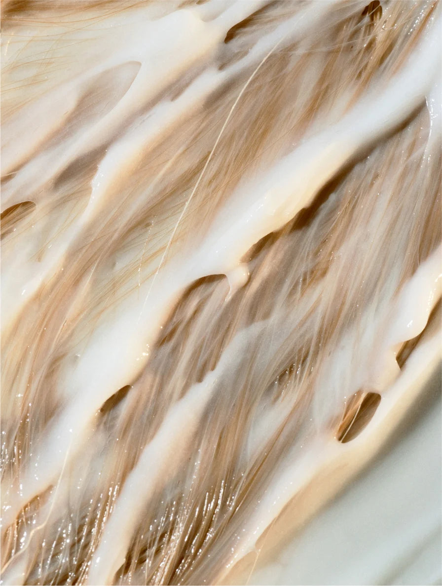 Gloss Shampoo, Smoky Green Vetiver - The Symmetry Lab